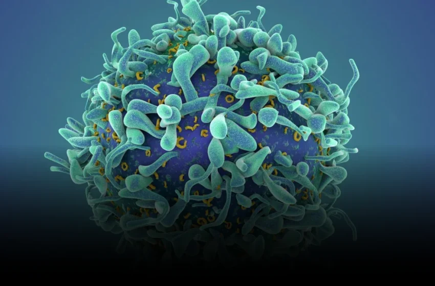  CAR T Therapy’s Autoimmune Pivot: A Risky Reset Beyond Oncology’s Grim Calculus