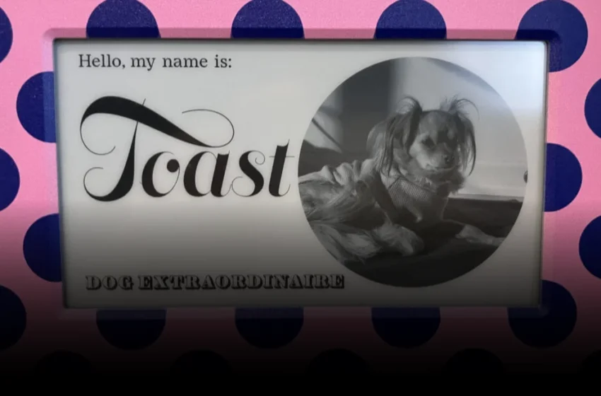  The Quiet Rebellion of E Ink: Why Simplicity Outsmarts Hyper-Connectivity