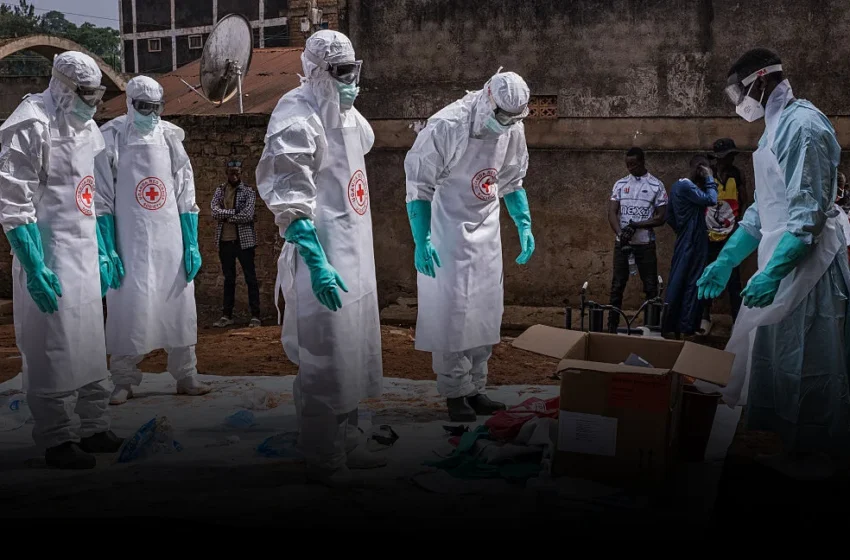  US Ebola Travel Ban Exposes Fractures in Global Health Governance