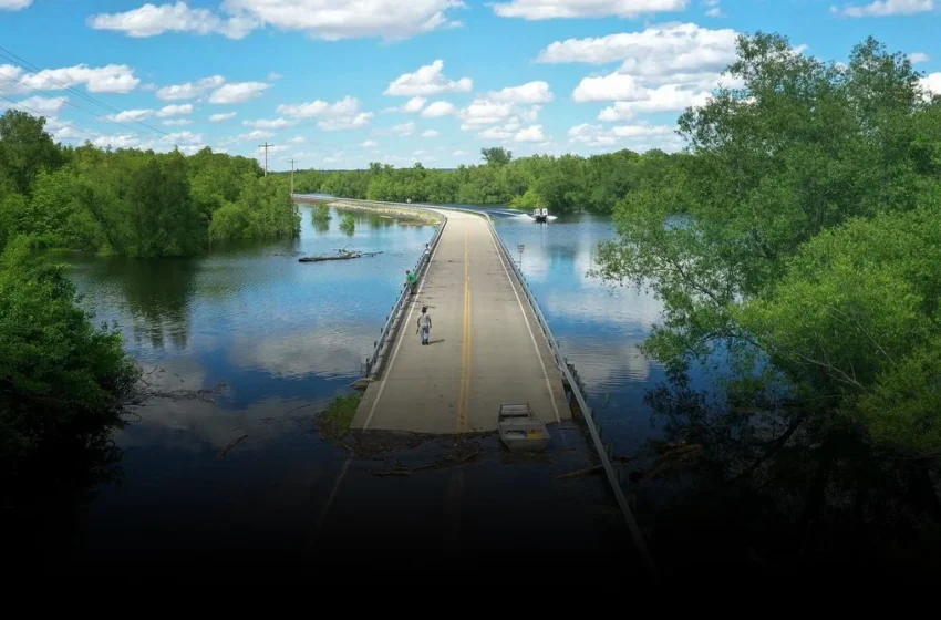  AI-Driven Parametric Insurance: Fast Aid, Centralized Power, New Risks