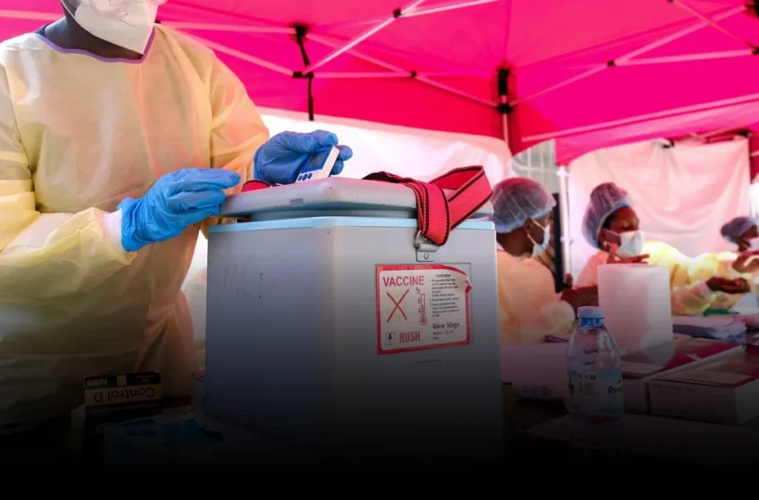  Ebola’s Economic Paradox: How a Neglected Strain Exposes Global Health’s Flawed Calculus