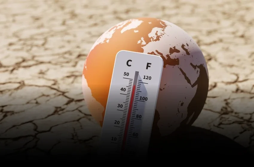  The Unseen Paradox: When Unprecedented El Niño Events Challenge Predictive AI