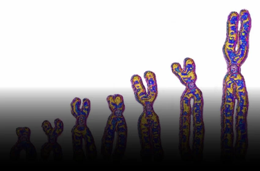  AI’s Deep Dive: Unearthing Ghost Lineages and Rewriting Human Origins