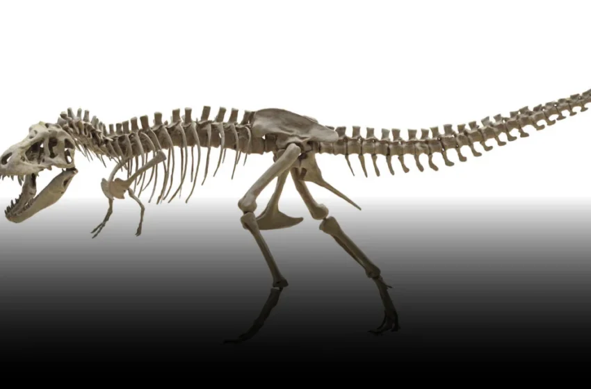  Beyond T. Rex: The Invisible Tech Fueling Scientific Breakthroughs