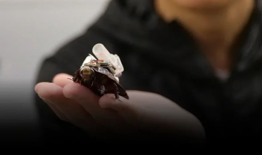  Cyborg Cockroaches: The Unspoken Dual-Use Challenge Beyond Disaster Aid