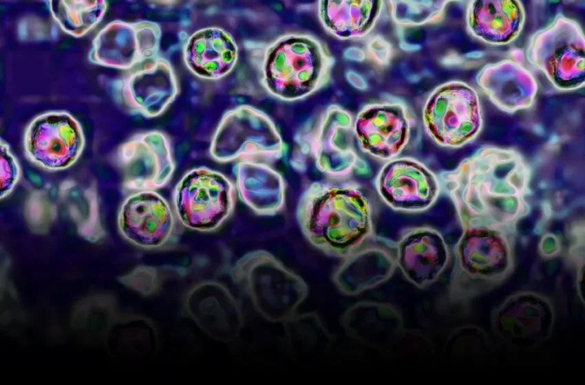  AI and Data Analytics: The Tech Imperative for Public Health in the US