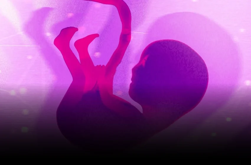  US Biotech Founder’s Moral Case for Gene-Editing Embryos Sparks Regulatory, Ethical Debate